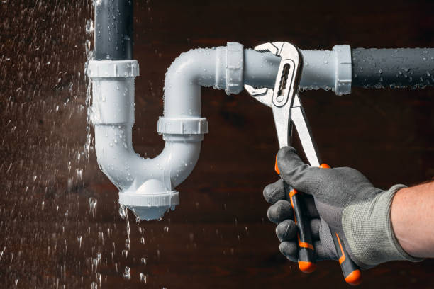Professional Emergency Plumber technician working in Elfers, FL